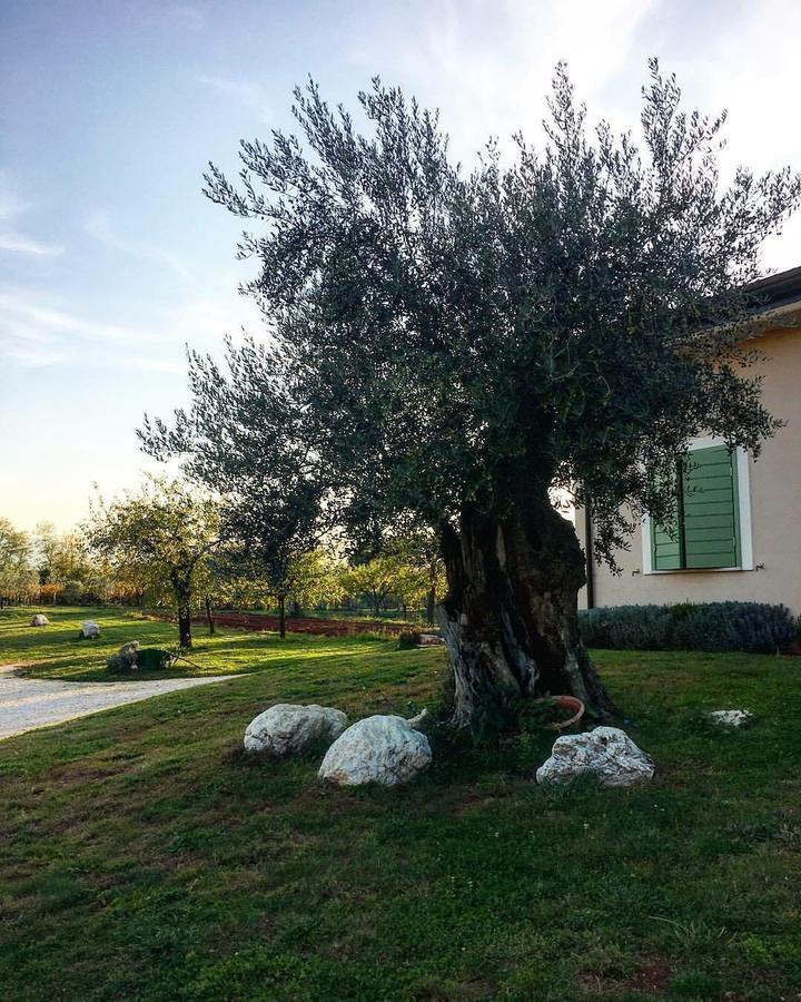 Agriturismo Di Charme Erbadoro Alvito Exterior photo